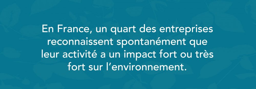 Source : Insee, enquête pratique environnementale des entreprises.