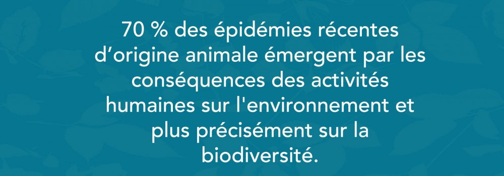 Source : Rapport de l’IPBES  (Plateformes intergouvernementales scientifiques et politiques sur la biodiversité et les services écosystémiques).